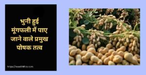 क्या है भुनी हुई मूंगफली खाने के फायदे और नुकसान: what are the advantages and disadvantages of eating peanuts 2 भुनी हुई मूंगफली खाने के फायदे और नुकसान