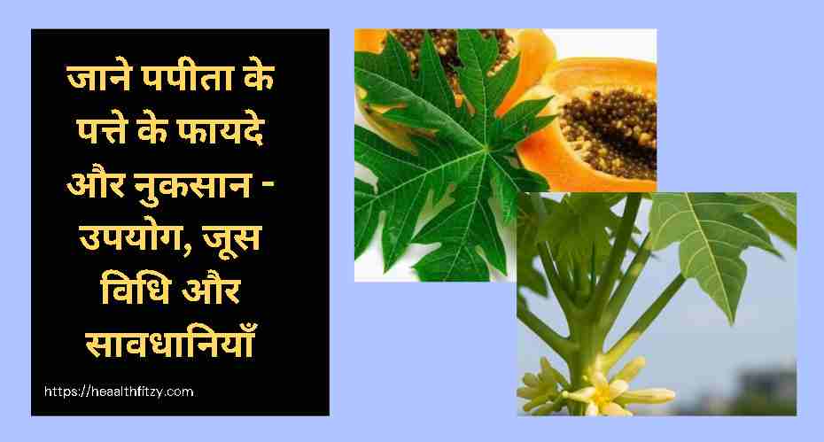 पपीता के पत्ते के फायदे और नुकसान