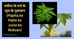 पपीता के पत्ते के जूस के नुकसान पपीता के पत्ते के फायदे और नुकसान