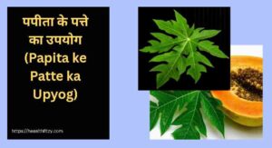 जाने पपीता के पत्ते के फायदे और नुकसान - गर्भपात जोखिम, जूस विधि और सावधानियाँ 2 पपीता के पत्ते के फायदे और नुकसान