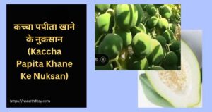 जाने कच्चा पपीता खाने के फायदे और नुकसान: सही समय, तरीका और सावधानियां 3 कच्चा पपीता खाने के फायदे और नुकसान