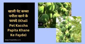 जाने कच्चा पपीता खाने के फायदे और नुकसान: सही समय, तरीका और सावधानियां 4 कच्चा पपीता खाने के फायदे और नुकसान