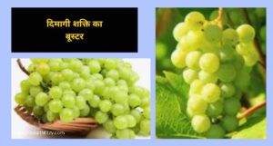खाली पेट अंगूर खाने के फायदे खाली पेट अंगूर खाने के फायदे