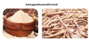 Ashwagandha benefits hindi इतने फायदे जान हैरान रह जायेंगे, सेवन का सही तरीका और समय 3 Ashwagandha benefits hindi