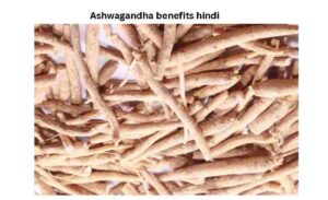 Ashwagandha benefits hindi इतने फायदे जान हैरान रह जायेंगे, सेवन का सही तरीका और समय 4 Ashwagandha benefits hindi इतने फायदे
